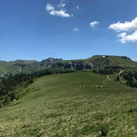 T2 Avec Wifi Au Coeur Du Mont-dore, Proche Thermes, Ideal Pour 5 Pers. Et Petit Chien - Fr-1-608-221 *